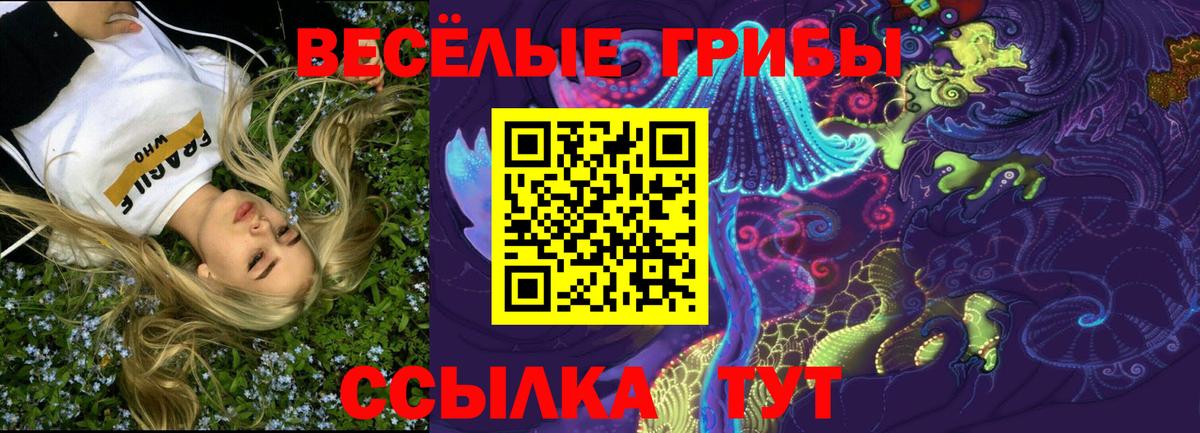 Псилоцибиновые грибы GOLDEN TEACHER Кувандык